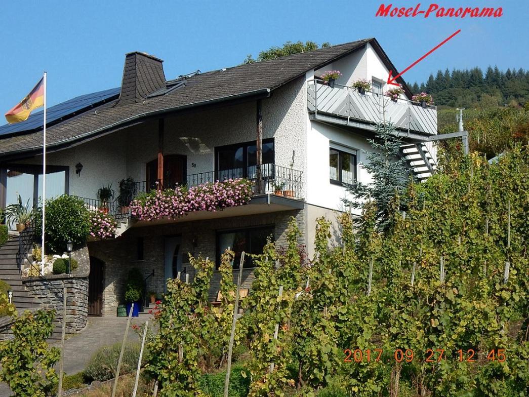 Mosel-Panorama Leilighet Enkirch Eksteriør bilde